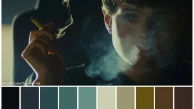 پالت های رنگی در فیلم