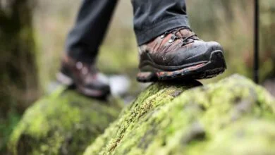 مشخصات کفش سالامون اصل