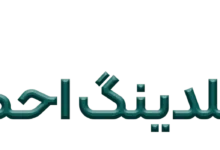 images 1723891556 66c07f644ca85