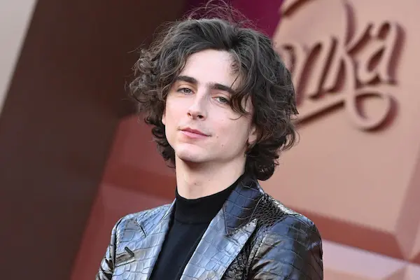 بیوگرافی Timothée Chalamet