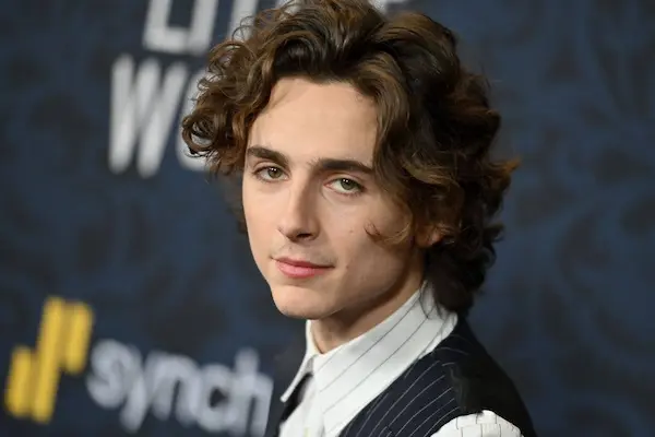 بیوگرافی تیموتی شالامی (Timothée Chalamet)